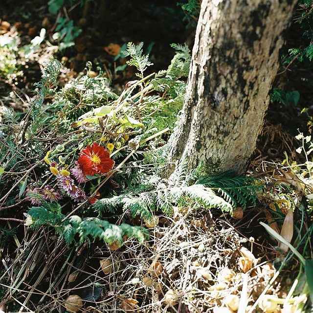 maggy8h's tweet image. $BRETT29743-USD 注目！BRETT29743-USD トークン は市場の基準を変えている。 -6.49% モメンタム 💹