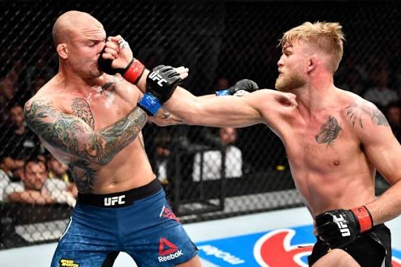Alexander Gustafsson tweet media