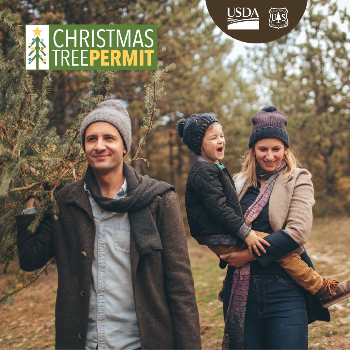 Learn more about Chippewa National Forest Christmas Tree Permits, purchase your permit, and welcome the Christmas season by cutting down your own tree: recreation.gov/tree-permits/1…