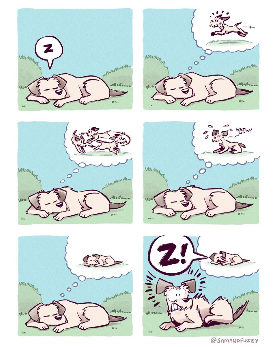 Sam Logan tweet media