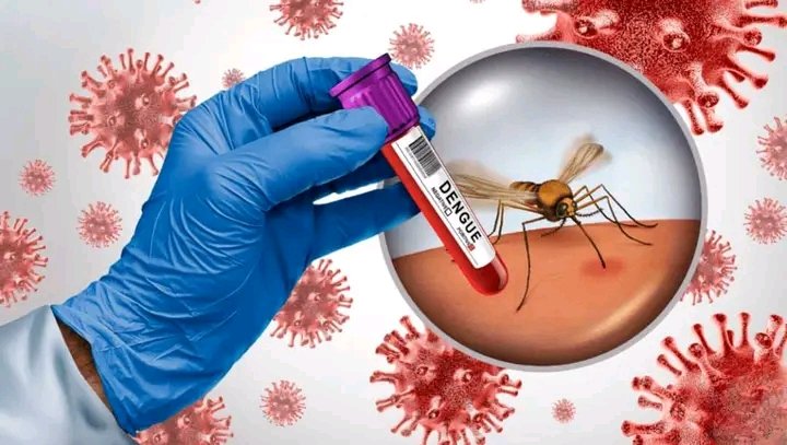 DPS_Artemisa's tweet photo. Sabías qué: hay síntomas que te quedan después de tener dengue? Las secuelas más habituales comprenden cansancio o agotamiento, dolor en articulaciones o músculos, cefalea, incomodidad gastrointestinal y mielitis, entre otras. No te descuides, siempre atentos!!! #CubaPorLa https://t.co/ZJDCk1KDF4
