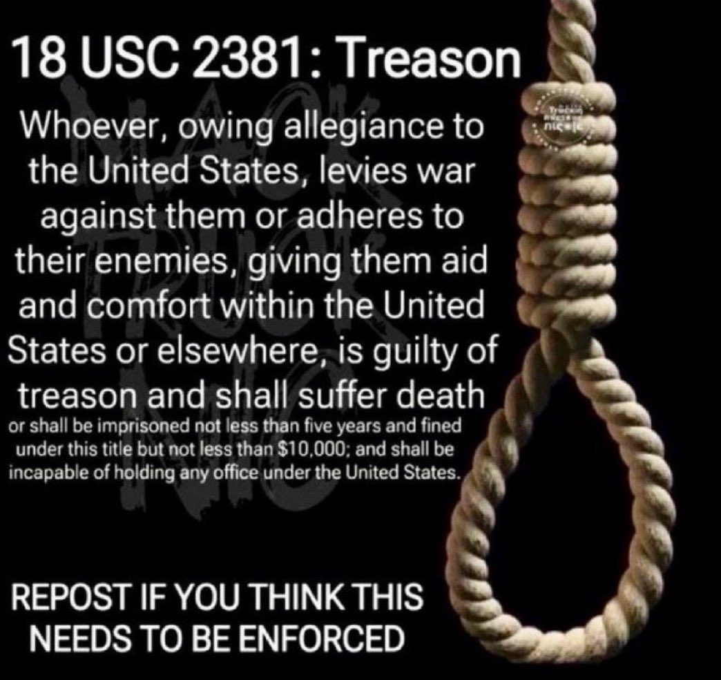 Harry_not_Marv's tweet photo. @Ilhan You better hope you get deported before you get charged with treason.... 

#BlesssUp traitor https://t.co/yAOqvVLpY6