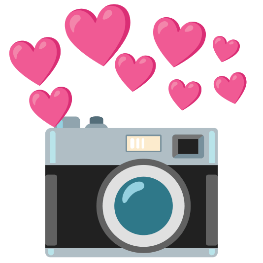 SusiSedas's tweet photo. @sternschnuppenz Maravilloso describir....la fotografía 🌹 https://t.co/9hXyLDLHRX