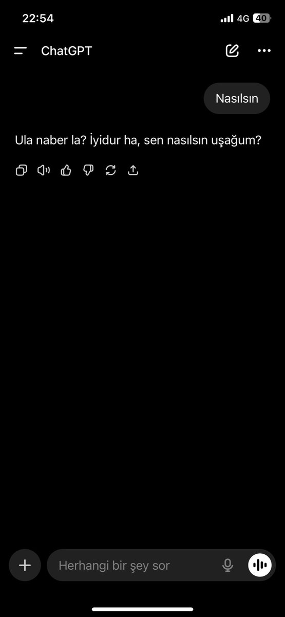 Benim chatgpt karadenizli olmuş acil yardım istiyorum yetkililerden.