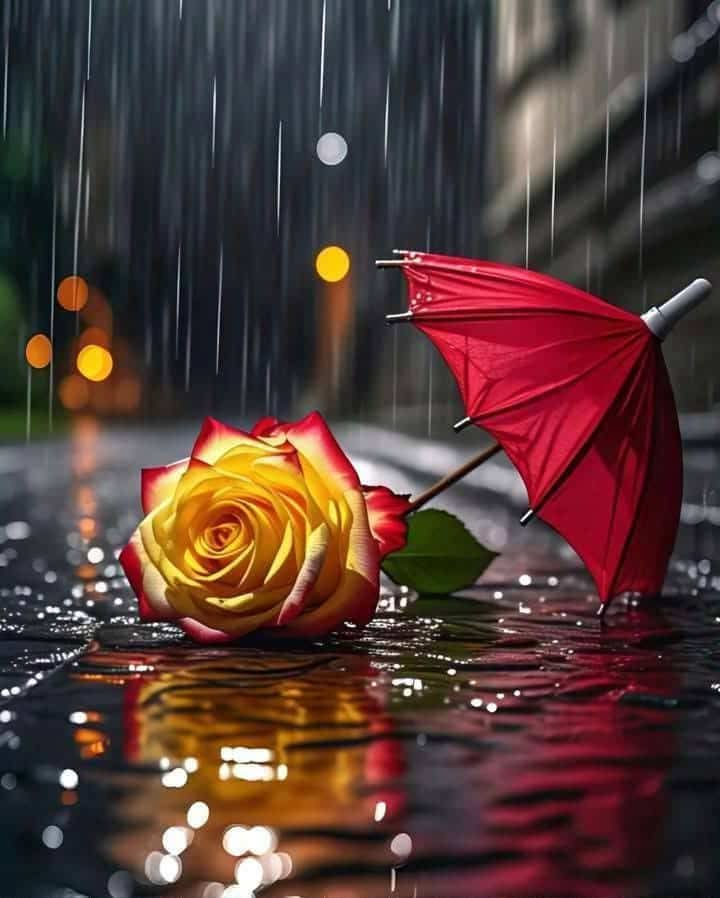 ما كان لقلب احب تحفتك 
ولا استمر في الهوى جمالا
اني اتيت اليك محملا بالحب
والى عطر شفتيك ولهانا 
واعطيت من روحي عهدا ووعدا 
وانت تلهين مع الكاذبين الحانا
#نقاء_الروح
#قيثارة_النيل