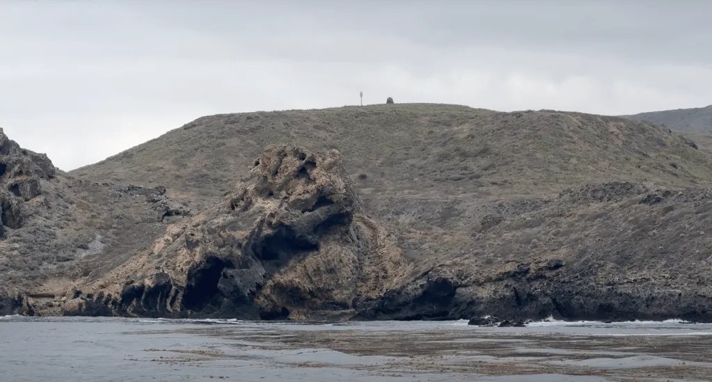 ScienceWeekly's tweet image. San Clemente Island is Where War Games and Wildlife Coexist californiacurated.substack.com/p/san-clemente…