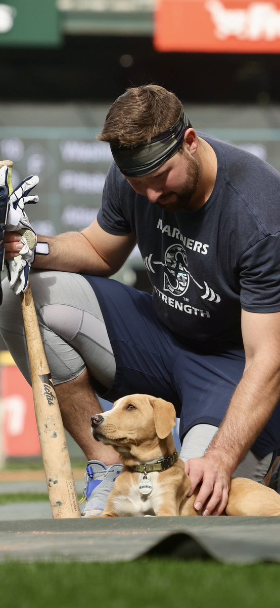 Join us for BIG DUMPER GOT ROBBED Night with the Pippins - June 🌟29 🌟versus <a href="/GoFishSticks/">DubSea Fish Sticks</a> 

We all know it + hate it. So show up and voice your displeasure with an open mic during the game, Cal highlights and 🍑 themed food and surprises. 

<a href="/WCLBaseball/">West Coast League</a>