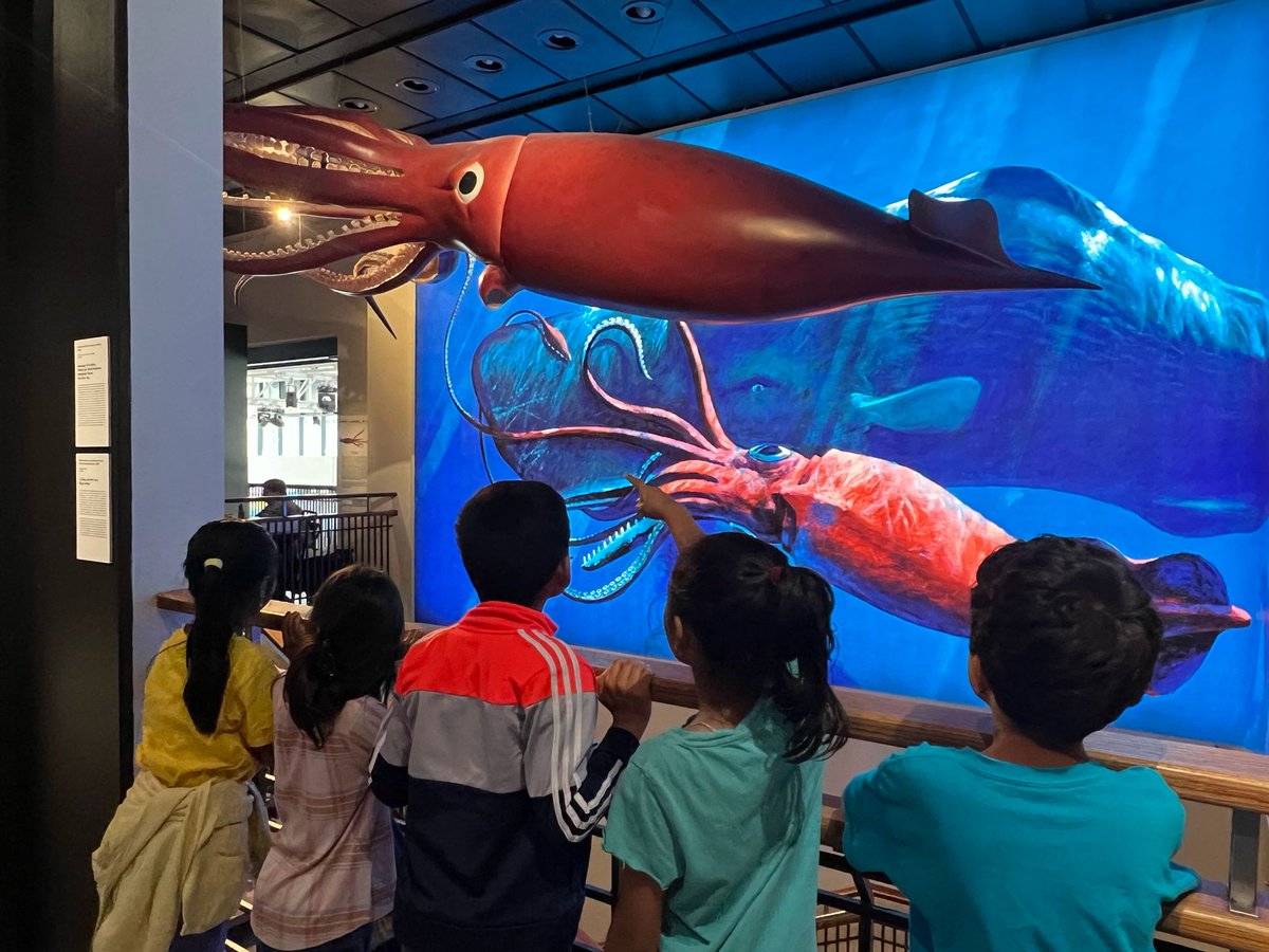 RDE_Dragons's tweet image. Our 3rd grade Dragons explored the wonders of science at the Houston Museum of Natural Science! From digging into the elements to discovering dinosaurs, their curiosity lit up every exhibit.  #DrabekDragons #FieldTripFun #STEMinAction #HandsOnLearning
