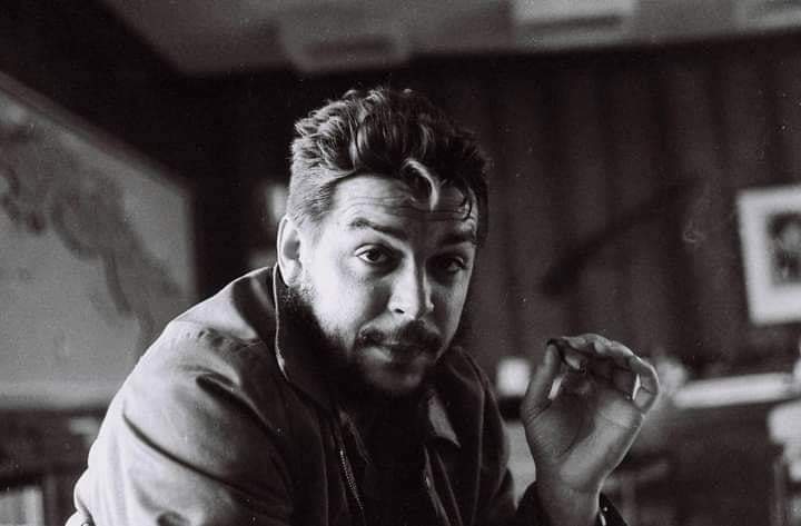 ليتك تعلم يارفيقي، أن الهزيمة للشجعان، فالجبناء لايخوضون المعارك ".

 ➖ جيفارا.