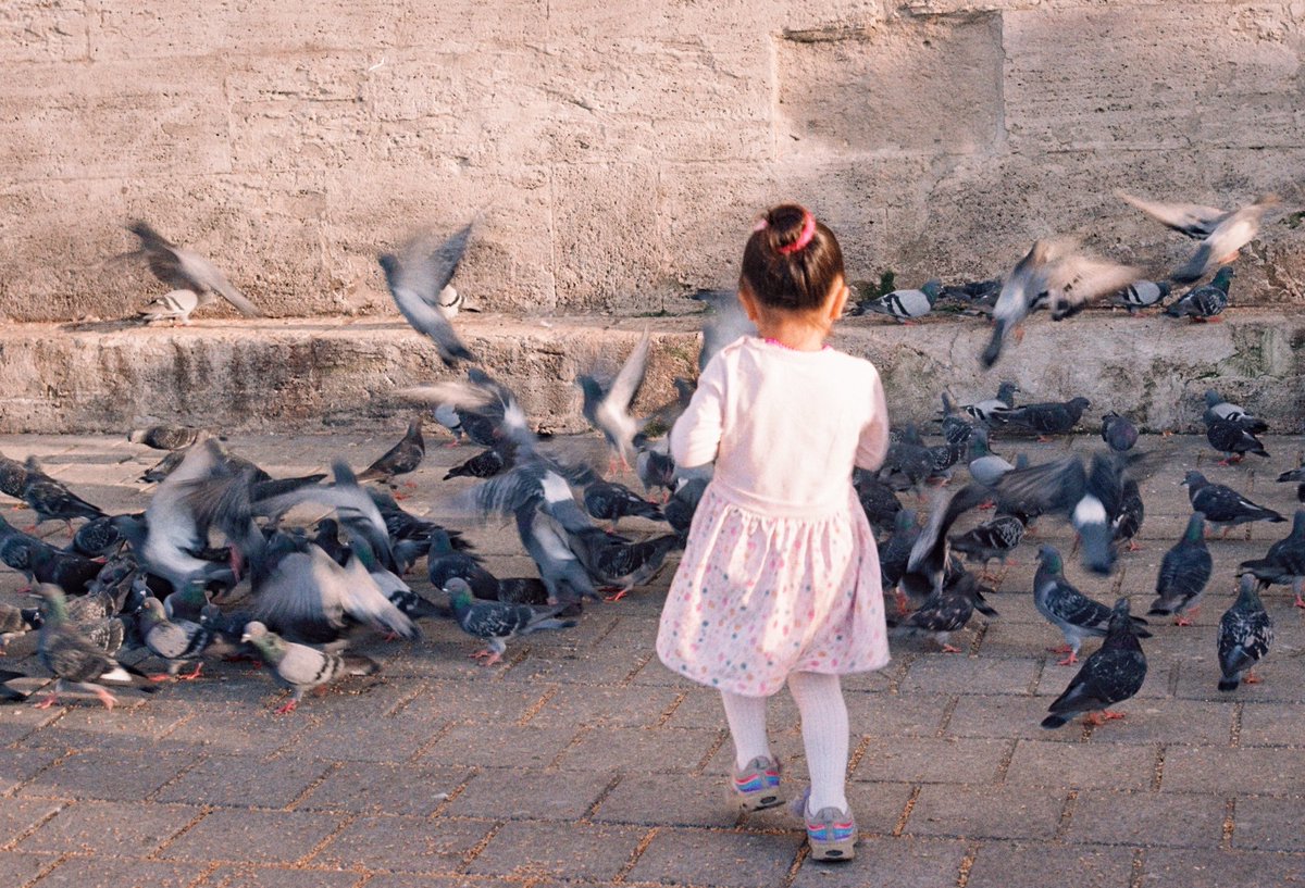 pinkrobinnaz's tweet photo. istanbul on 35mm film https://t.co/Txwu9jIF1G