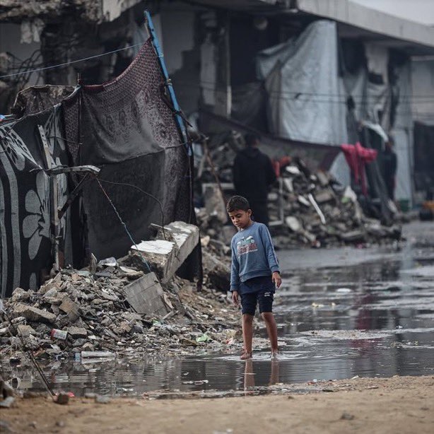 Muhammad in Gaza🇵🇸⚡️ tweet media