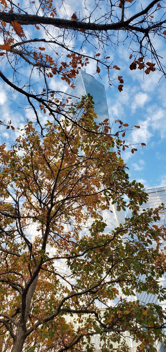 MarieLepp's tweet photo. Happy Friday🍁🍂
#WTC #NYC https://t.co/3tzd6u7ObB