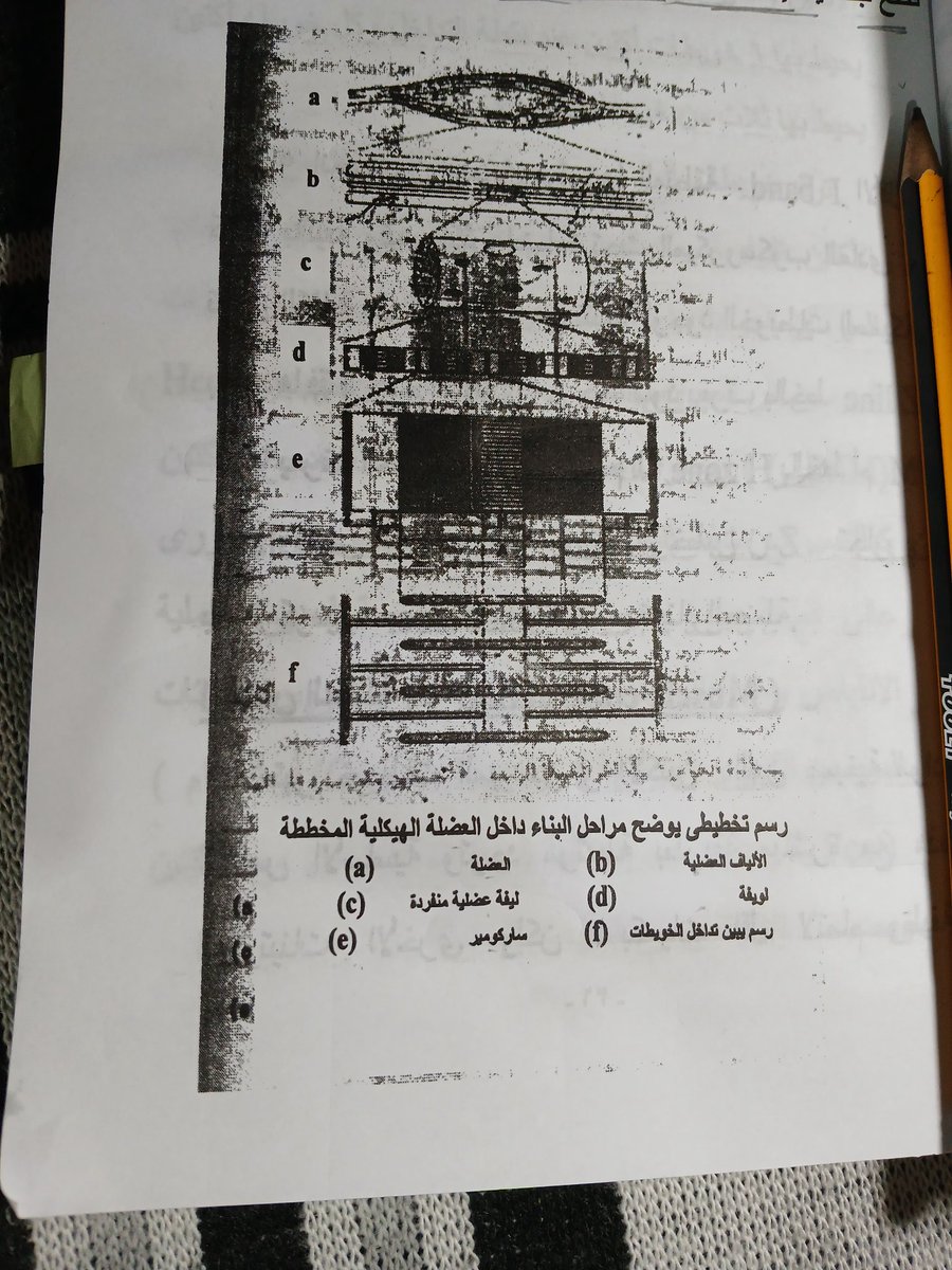 SalmaMaher2007's tweet photo. لا تصدق هوا رسم تخطيطي يوضح فعلا ، مش عارفه من غيرك كنت هعيش ازاي يادكتور تسلم والله https://t.co/JHXzb2oDCG