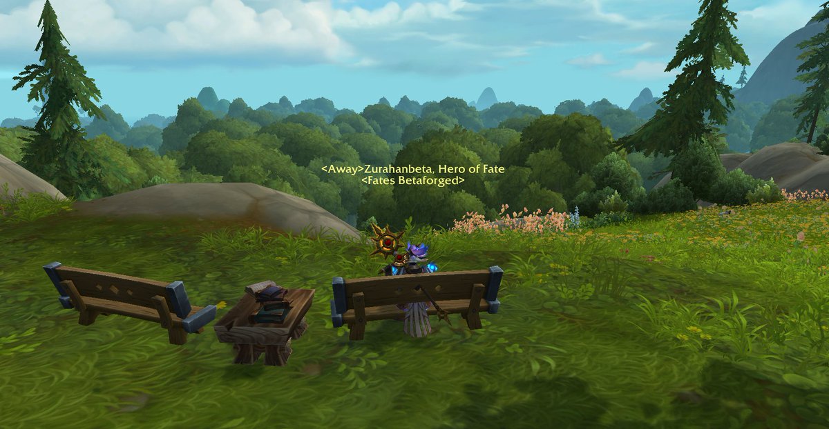 and this is the view