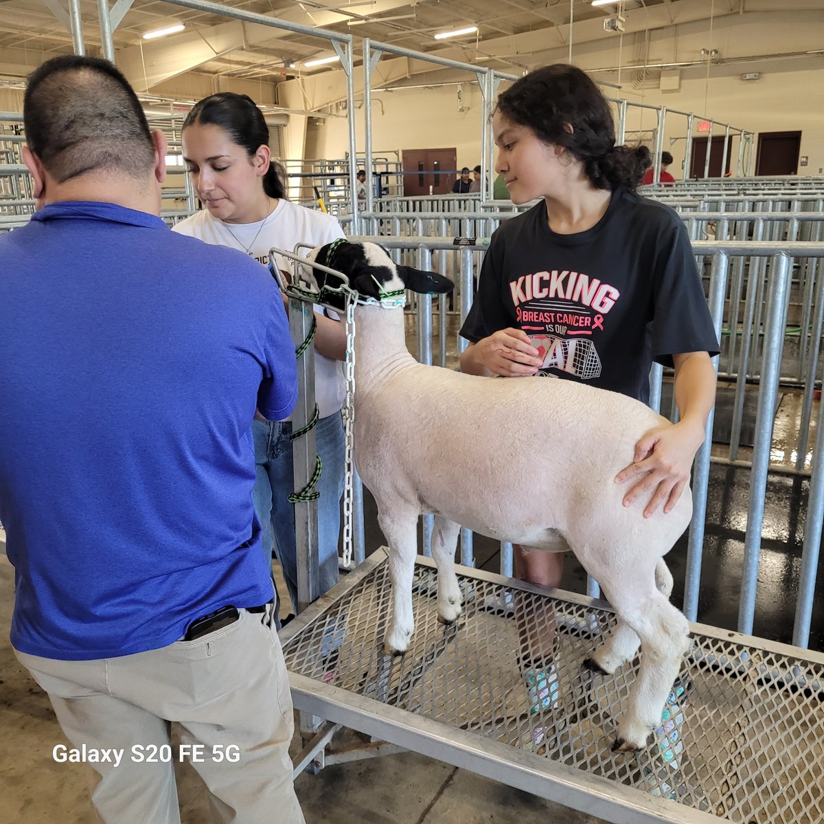 Los Fresnos CISD CTE tweet media