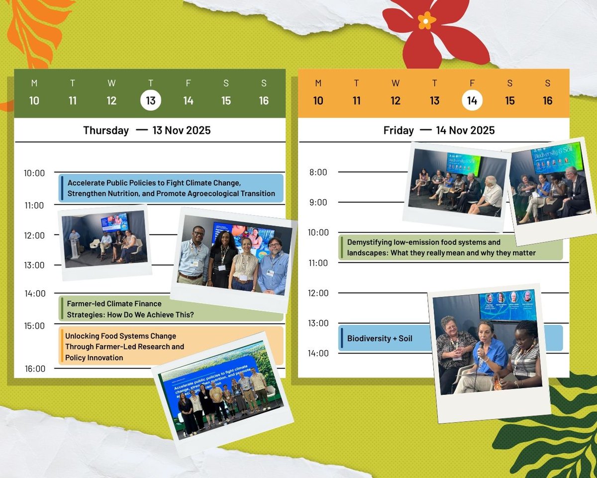 BiovIntCIAT_eng's tweet image. 💚🌎 Week 1 at #COP30 brought energy, events, community voices &amp;amp; real solutions in action.
👉 Discover what&apos;s next: allbiociat.org/49HKzqB