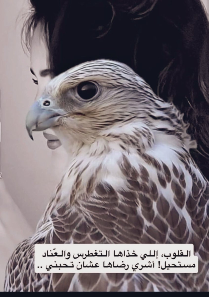 ﮼تواليينا (@asas55552222) on Twitter photo 