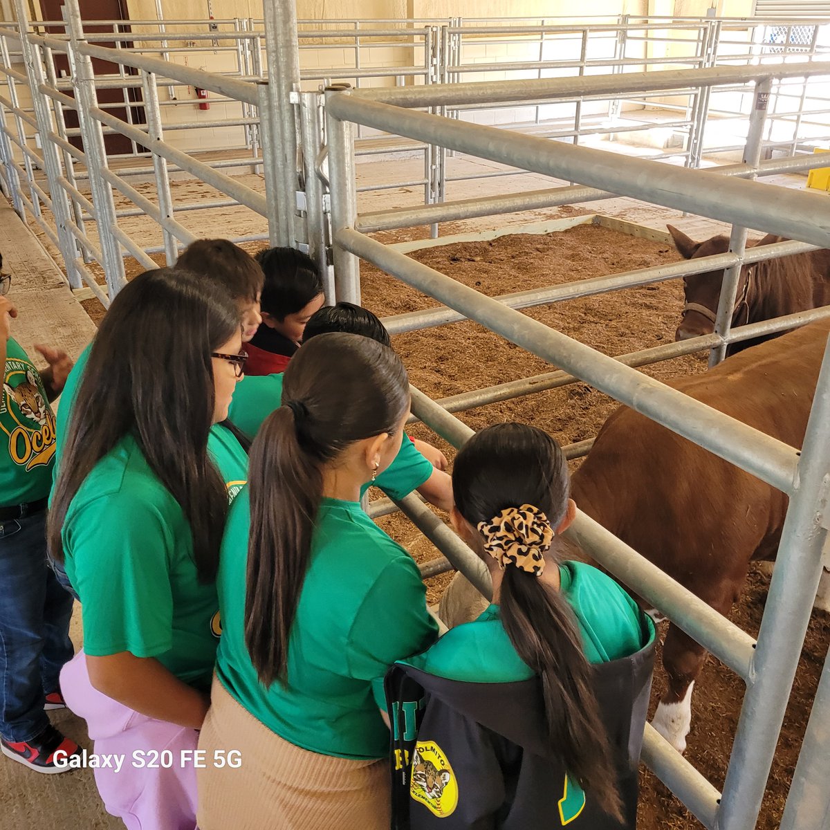 Los Fresnos CISD CTE tweet media