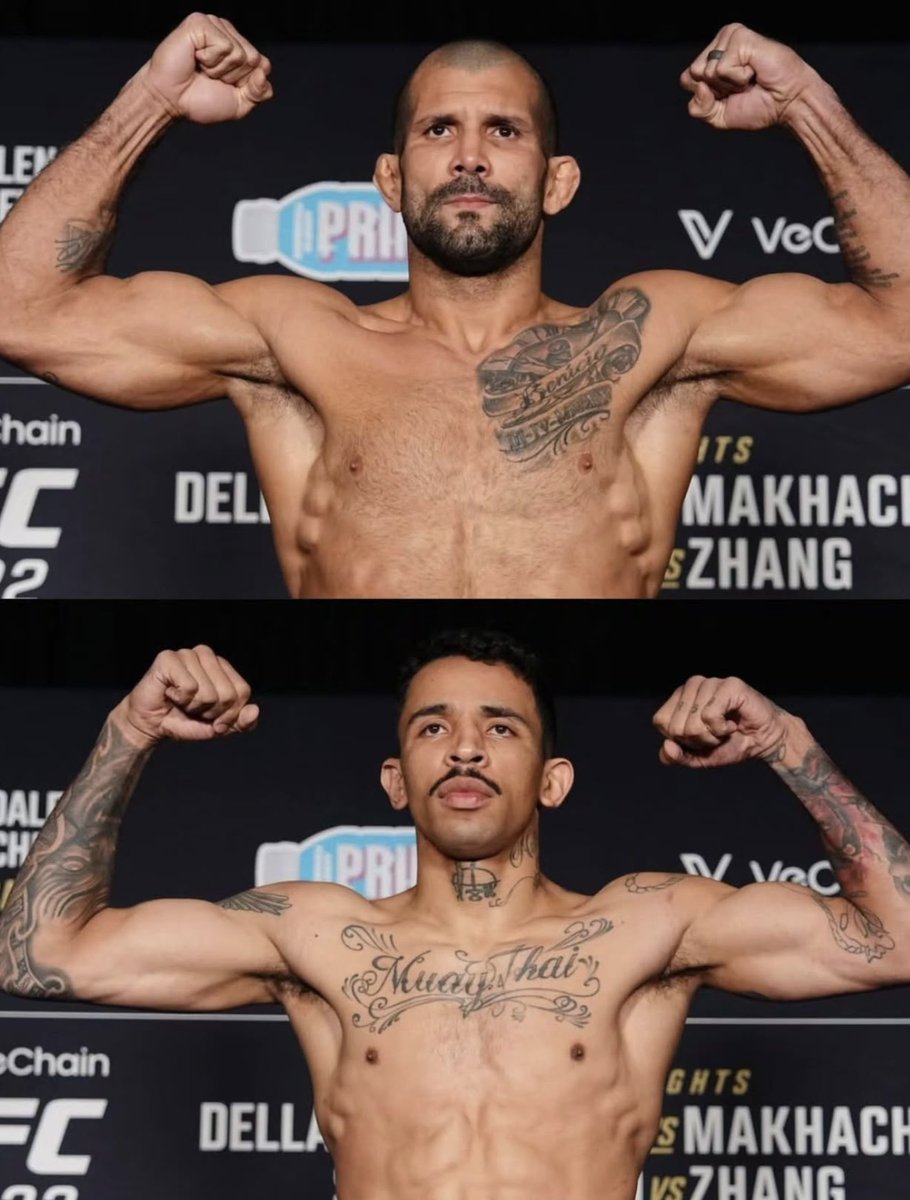 THE FIGHTING NERDS tweet media