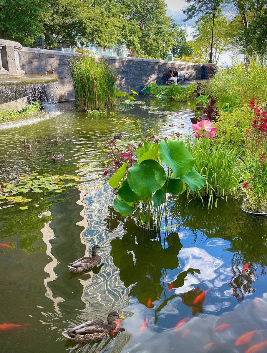 The cloud today are so beautiful. #usa