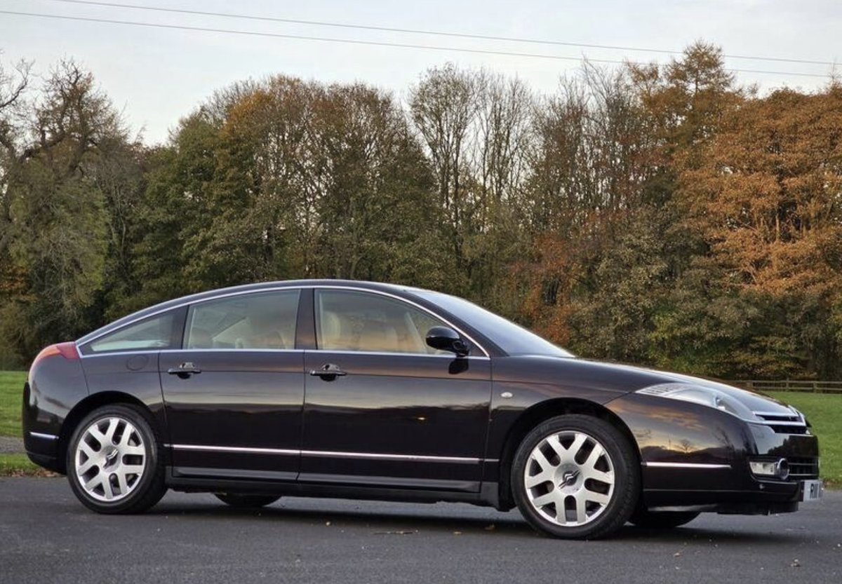 Electric Blue⚡️💙 tweet media