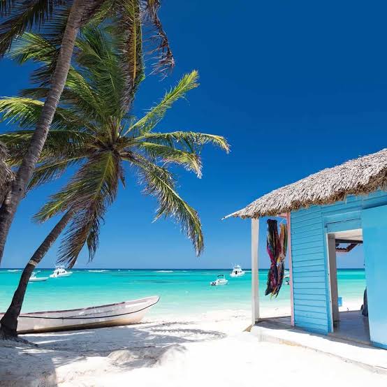 Mexcovery tweet media