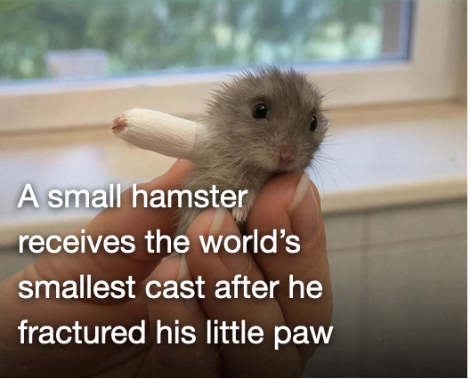 Jake Wintermute 🧬/acc tweet media