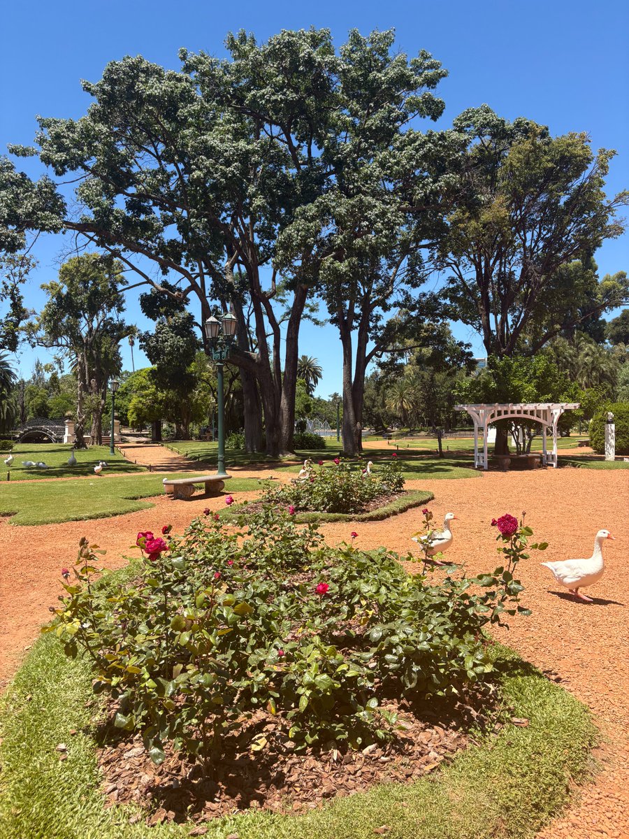 Hemos llegado a Buenos Aires para <a href="/EFDevcon/">Devconnect ARG - the first Ethereum World’s Fair</a> 🙌 
Hit us up with your best events for the weekend and we're ready to onboard you onto the Permaweb⚡️