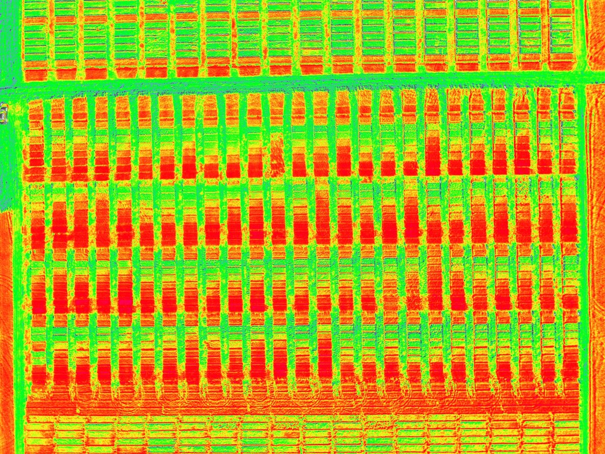 Fin de la cursada 2025 de la asignatura Teledetección Aplicada y Sistemas de Información Geográfica, en <a href="/agrariasunr/">Agrarias UNR</a> ... Gran grupo de trabajo