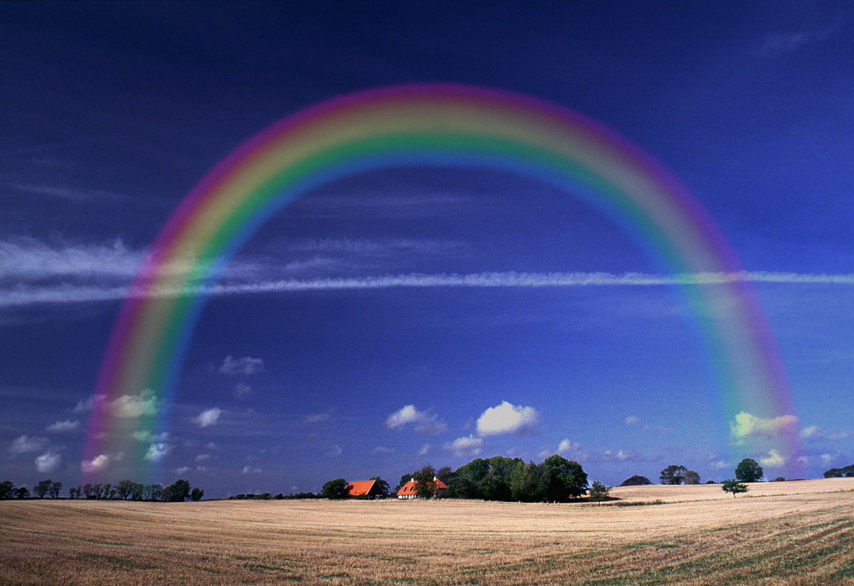 rainbowakabibi's tweet photo. Rainbow    /     Rainbow https://t.co/WdlyFCMGbZ