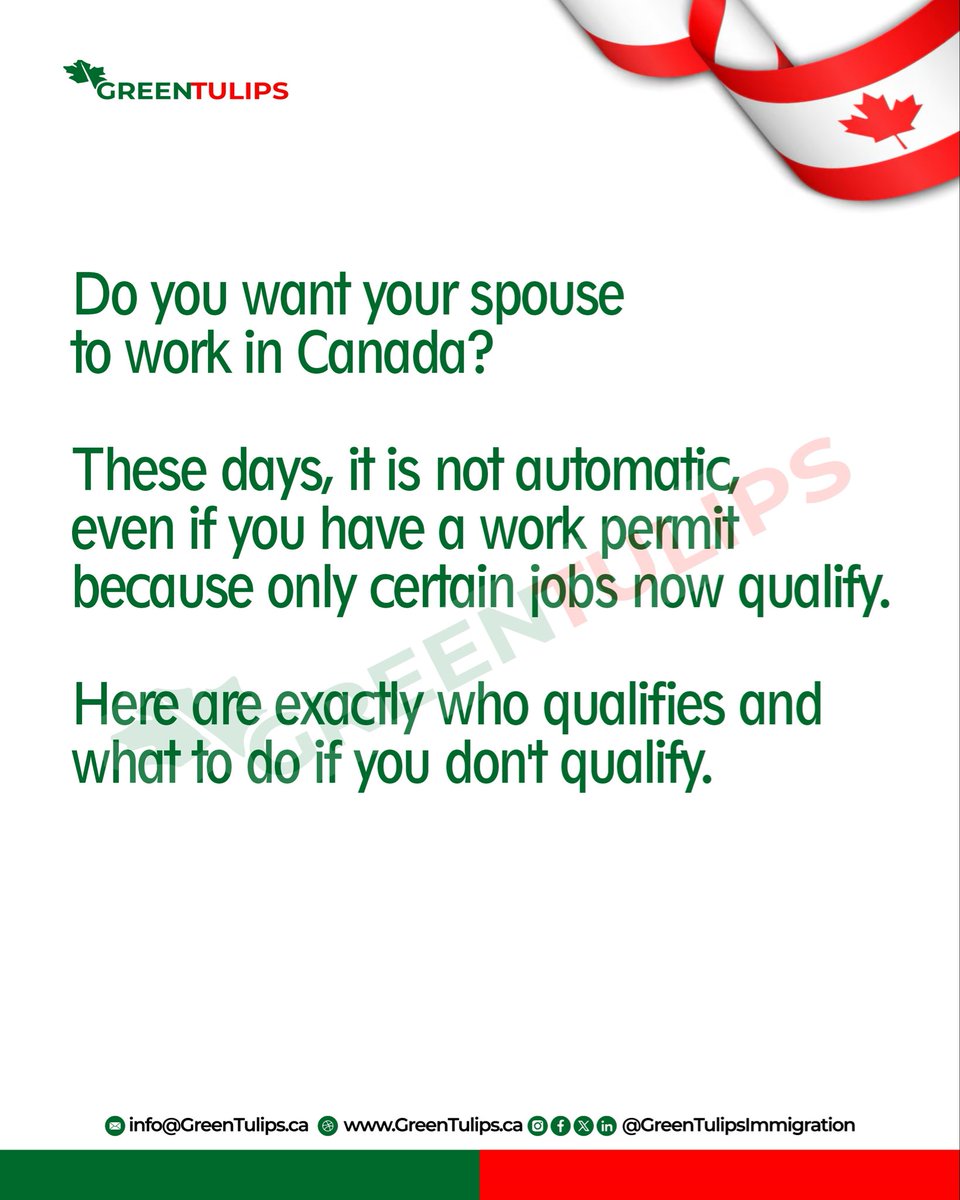 GreenTulipsImm's tweet image. Rules of Open Work Permit for spouses of work permit holders in Canada. 

#Canada #OpenWorkPermit #SpousalOpenWorkPermit #PostGraduationWorkPermit #CanadianImmigration #SOWP #PGWP #WorkPermit #WorkinCanada