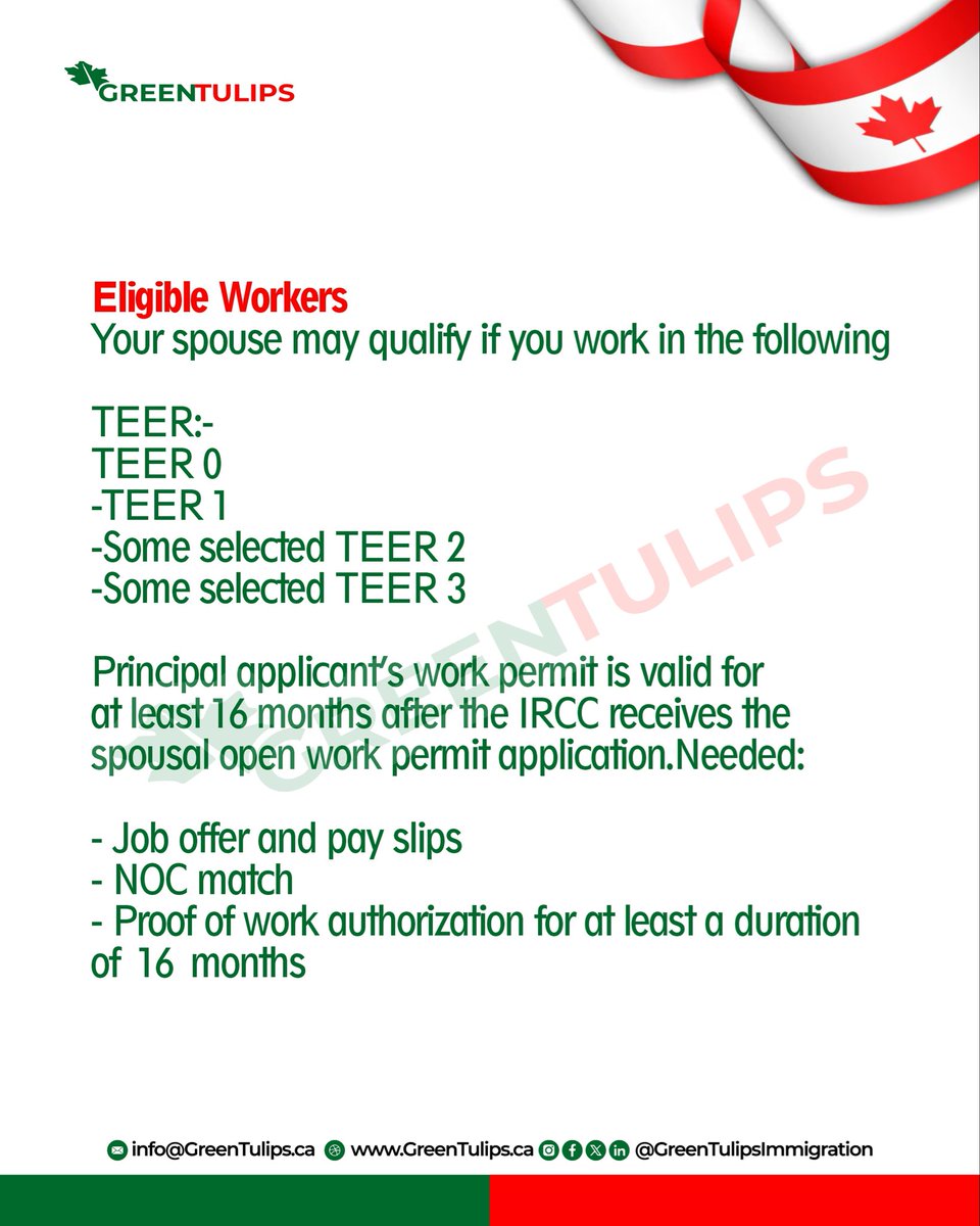 GreenTulipsImm's tweet image. Rules of Open Work Permit for spouses of work permit holders in Canada. 

#Canada #OpenWorkPermit #SpousalOpenWorkPermit #PostGraduationWorkPermit #CanadianImmigration #SOWP #PGWP #WorkPermit #WorkinCanada