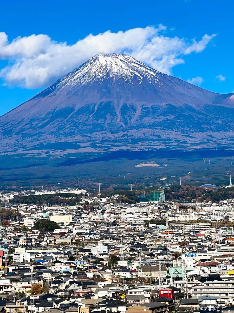 皆さん、おはようございます😺
今日も✨よろしくお願いします
良い週末をお過ごし下さい‼️