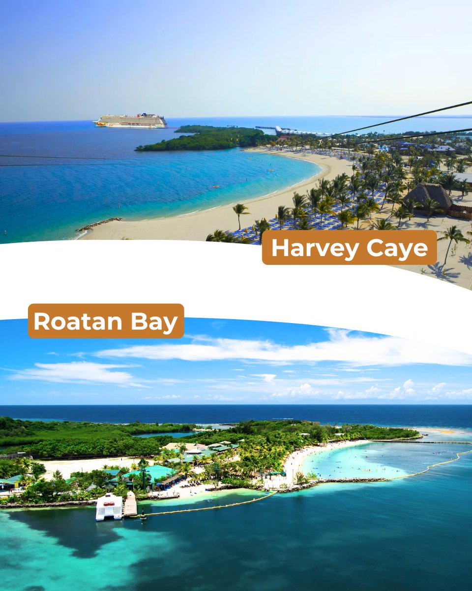 Florida Conference of Seventh-day Adventists tweet media