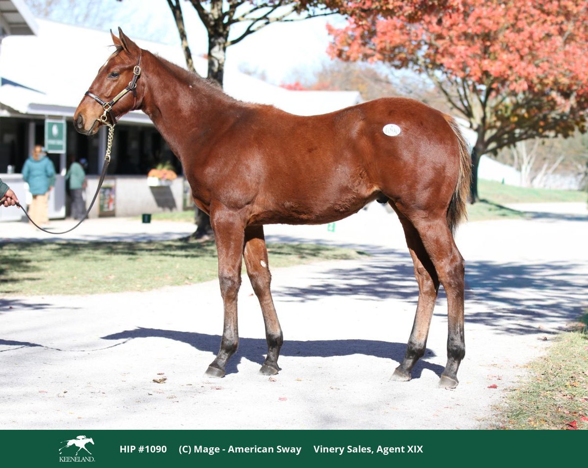 Airdrie Stud tweet media