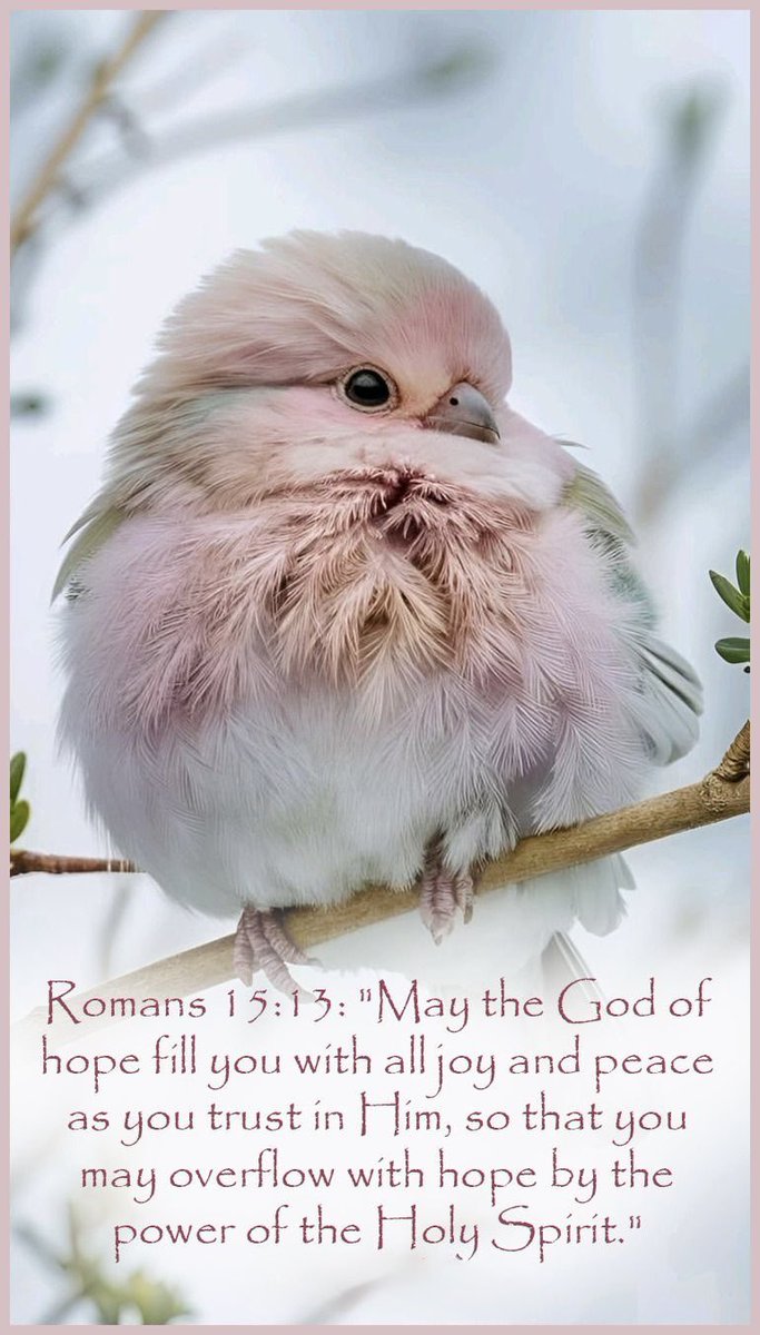 1madwoman1962's tweet image. #Scriptures  @DebbieZimmer54 @RosaTrunk @Rosakdp @PatGrant7777 @szentandrassym @BeatriceLacy @marvil296 @seale15 @victoria_victo3 @ZoraidaPalacios @debratankersle1 @JanetBarstow @ClockworkHamma @SuzanneLepage1 @antoniomanager @LesleyLupo @Tearene @WonderfulSpace4 @JesusLuvsUs777…