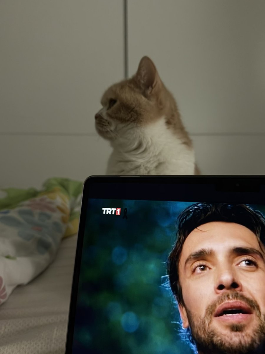 mörv (@_varryokgibi) on Twitter photo 