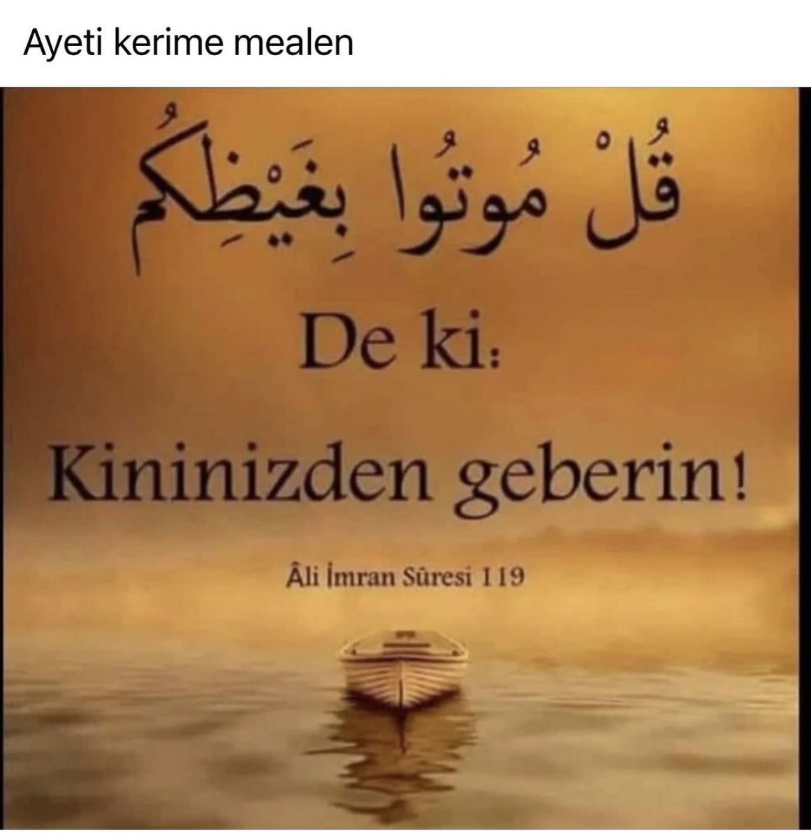 Hasan Fehmi Dalgıç (@hfehmidalgic) on Twitter photo 