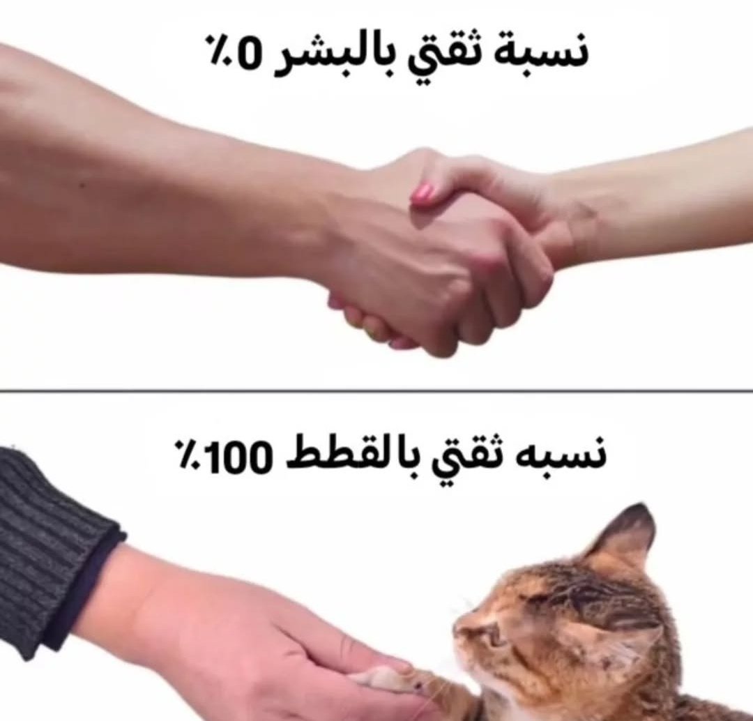 بوح |🐈‍⬛ (@an__0000) on Twitter photo 