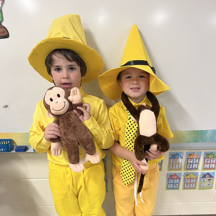 Concrete Primary tweet media