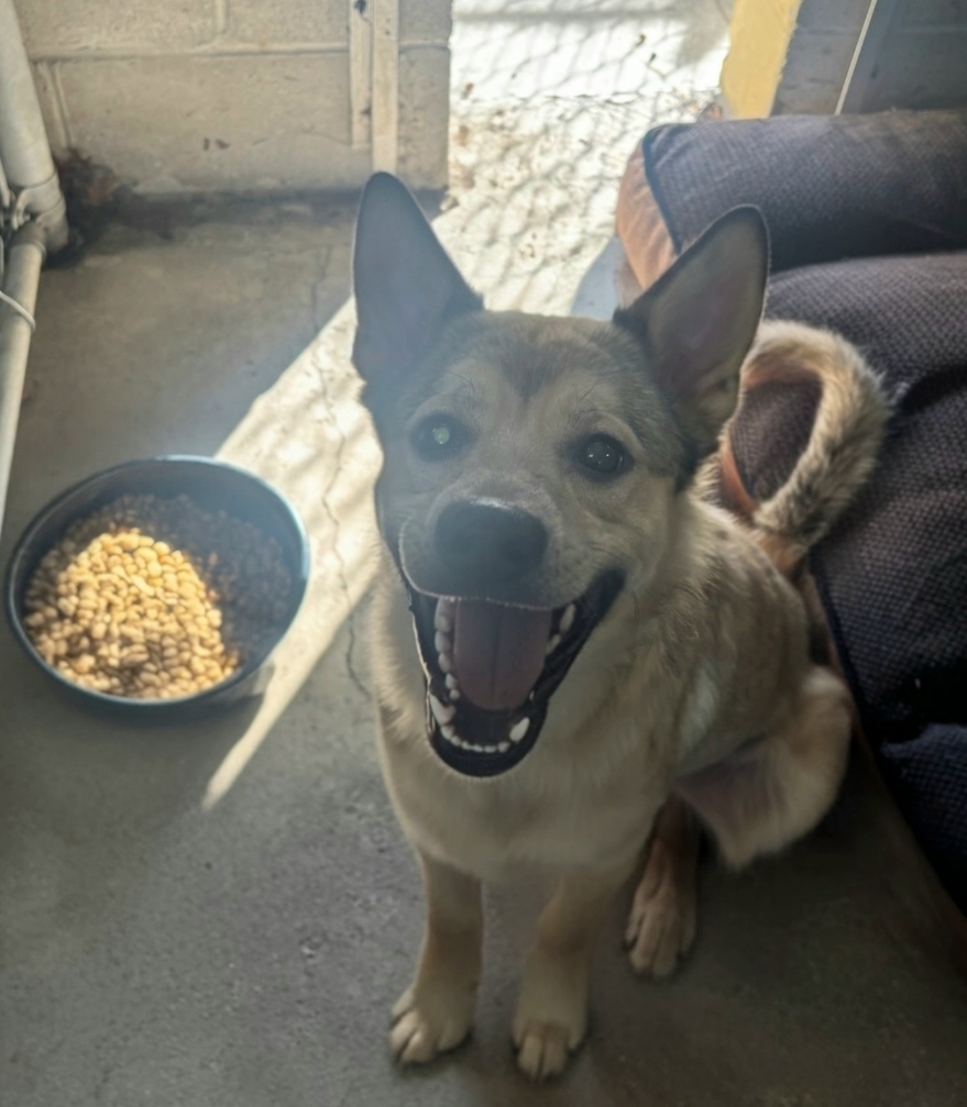 North Reading Police tweet media