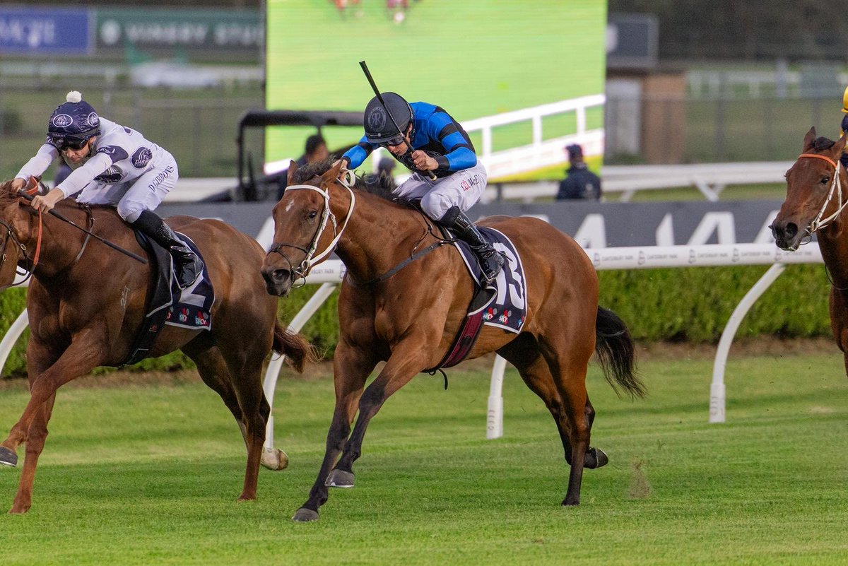 Coolmore Australia tweet media