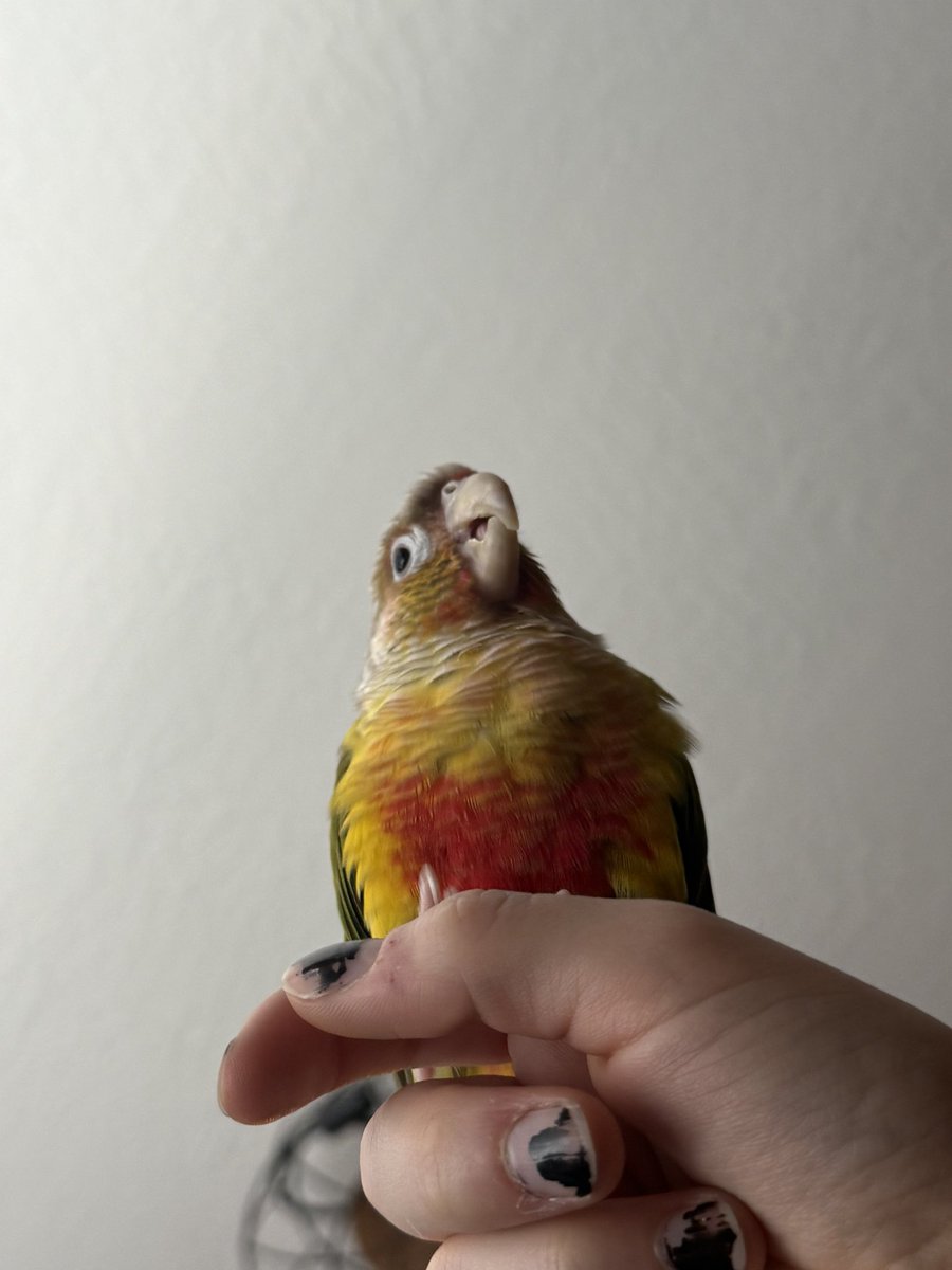 Smokee_Bee's tweet image. She makes me smile sometimes