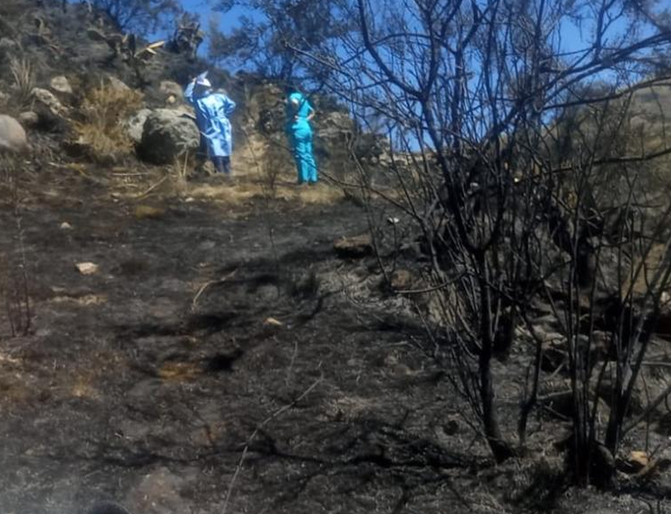 COENPeru's tweet photo. Ayacucho: el 13/11 se reportó un #IncendioForesta en la localidad de Paqchacc, distrito de #Vinchos, provincia de Huamanga, que dejó una persona fallecida y daños a la cobertura natural. El fuego fue extinguido por personal del gobierno local y pobladores de la zona. https://t.co/AydCjf6Krv