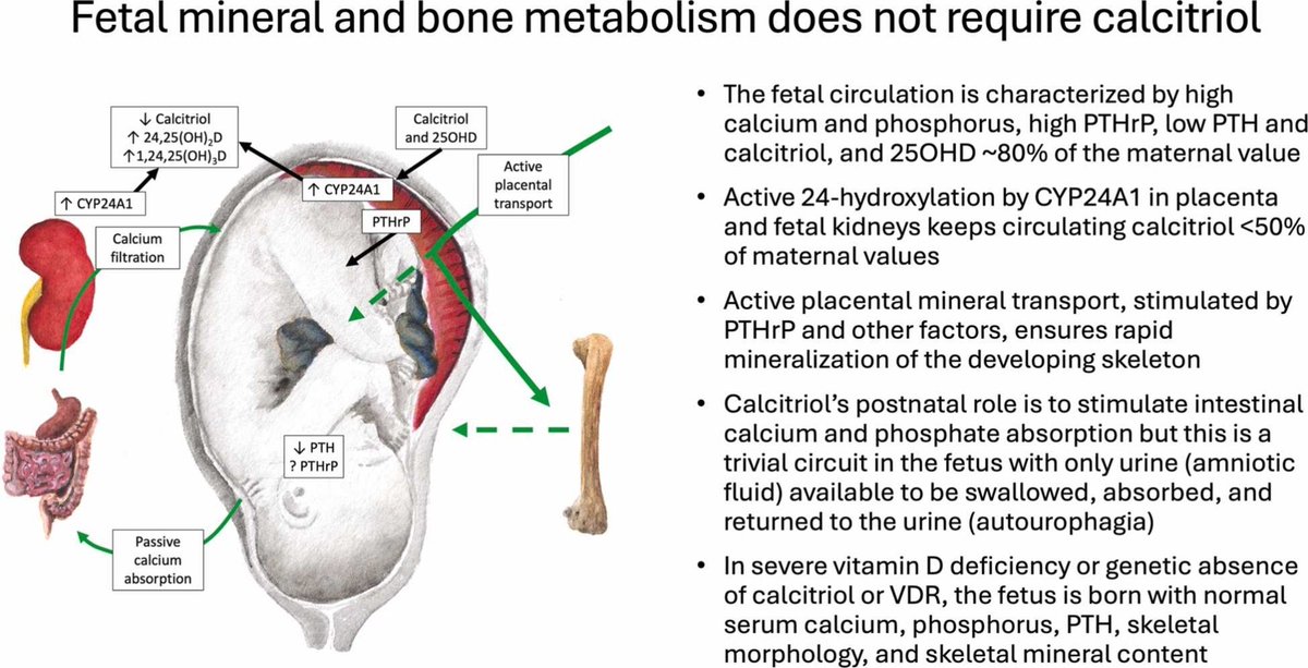 Christopher Kovacs tweet media