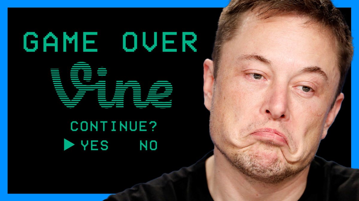 VIDEO: Vine is SO BACK! No Elon Musk and AI is BANNED! Twitter founder Jack  Dorsey is bringing back Vine as the DiVine app, and is even posting  hundreds of thousands of