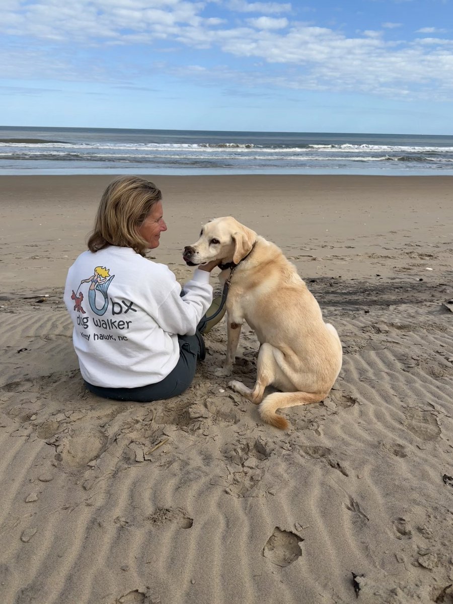 Old Annie is gone. <a href="/obxdogwalker/">OBX Dog Walker</a> and I had her for the last year and a half of her life, but the cancer finally won. 
My veterinarian and good friend Logan came to the house and we sent her home while we were lying on the deck, the sun shining and the ocean breeze flowing over