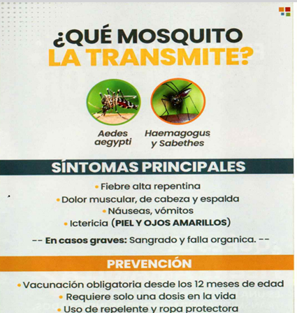 Hospitalcircas1's tweet photo. 🦠 La fiebre amarilla es una enfermedad viral grave transmitida por mosquitos infectados.
✔️ Vacúnate desde los 12 meses (una sola dosis de por vida).
✔️ Usa repelente y elimina criaderos.
Tu salud y la de tu familia es prioridad. 🏥 https://t.co/fInDTFbuaY
