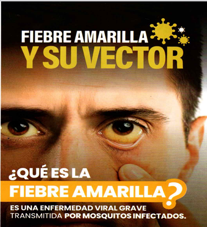 Hospitalcircas1's tweet photo. 🦠 La fiebre amarilla es una enfermedad viral grave transmitida por mosquitos infectados.
✔️ Vacúnate desde los 12 meses (una sola dosis de por vida).
✔️ Usa repelente y elimina criaderos.
Tu salud y la de tu familia es prioridad. 🏥 https://t.co/fInDTFbuaY