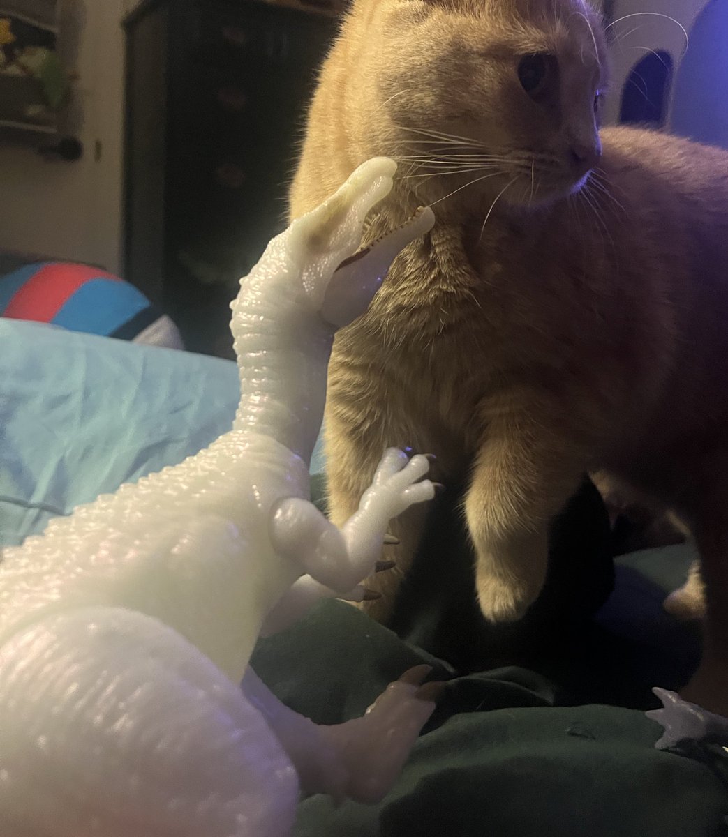 Just an update, we’re home. I’ll be getting right to doing art to get back on our feet from this. I appreciate all the support ;;_;;